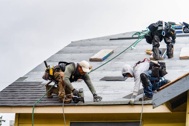 Professional Gutter Installation technician working in Palm Harbor, FL